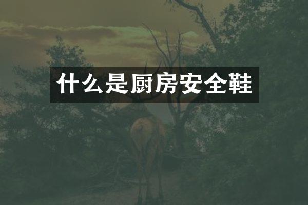 什么是厨房安全鞋
