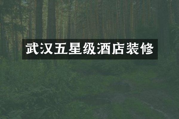 武汉五星级酒店装修