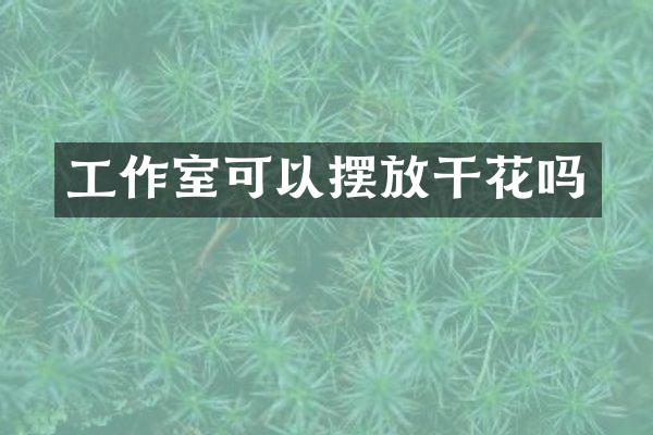 工作室可以摆放干花吗