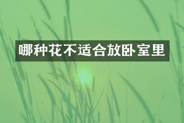 哪种花不适合放卧室里