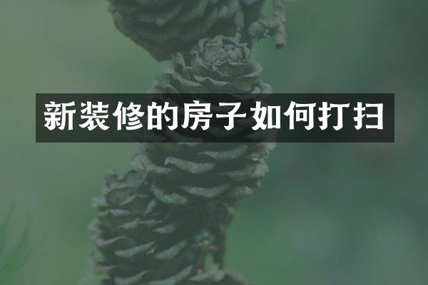 新装修的房子如何打扫