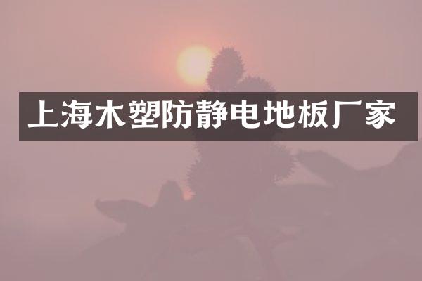 上海木塑防静电地板厂家