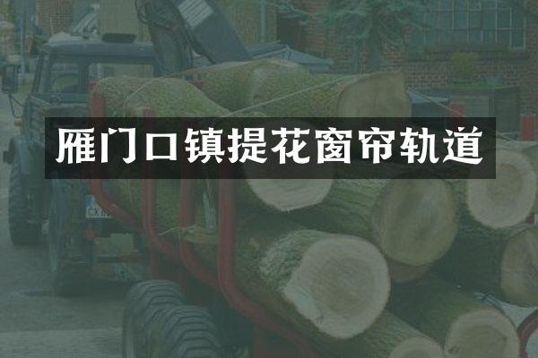 雁门口镇提花窗帘轨道