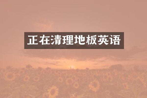 正在清理地板英语