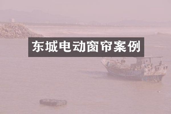 东城电动窗帘案例