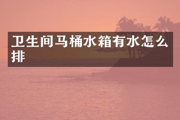 卫生间马桶水箱有水怎么排