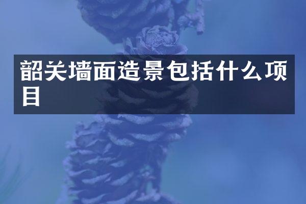 韶关墙面造景包括什么项目