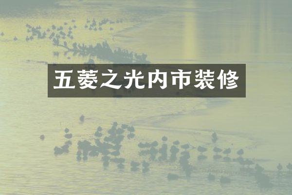 五菱之光内市装修