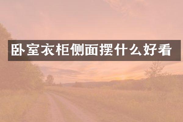 卧室衣柜侧面摆什么好看