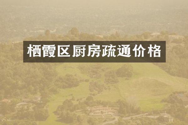 栖霞区厨房疏通价格