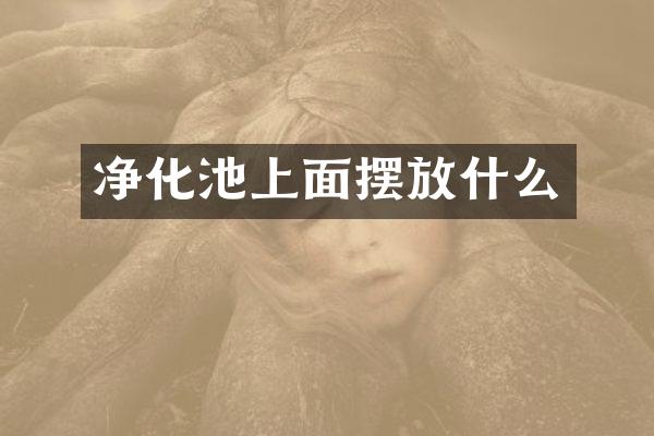净化池上面摆放什么