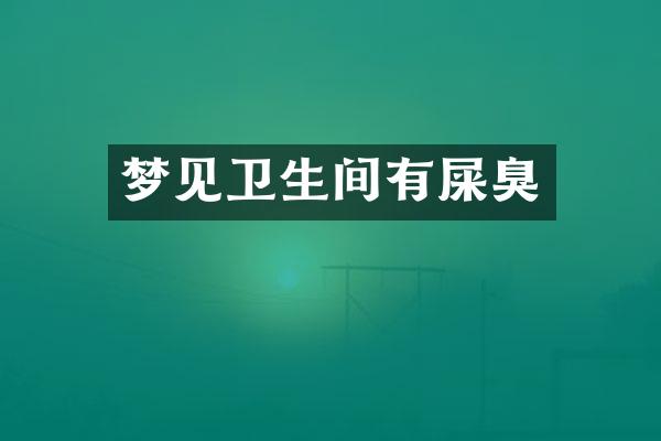 梦见卫生间有屎臭