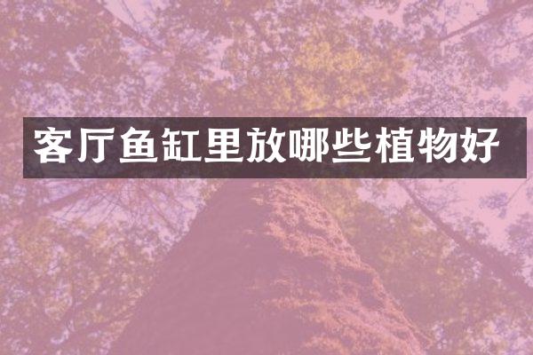 客厅鱼缸里放哪些植物好