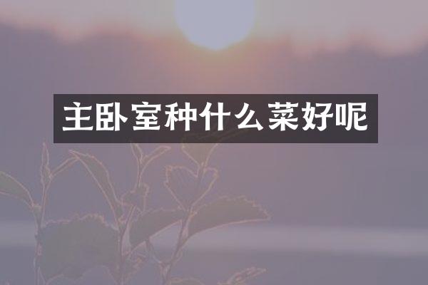 主卧室种什么菜好呢
