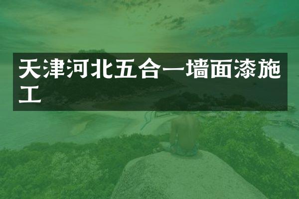 天津河北五合一墙面漆施工