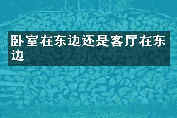 卧室在东边还是客厅在东边