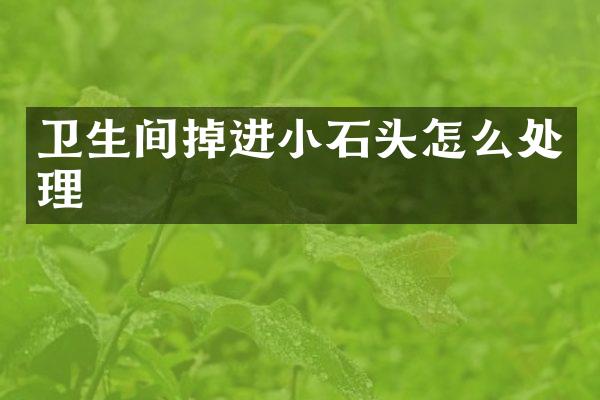卫生间掉进小石头怎么处理