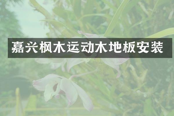 嘉兴枫木运动木地板安装