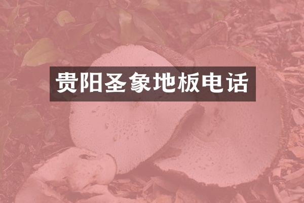 贵阳圣象地板电话