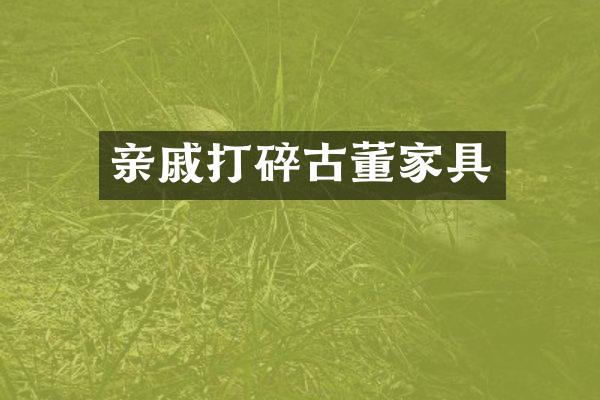 亲戚打碎古董家具