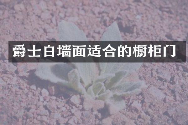 爵士白墙面适合的橱柜门