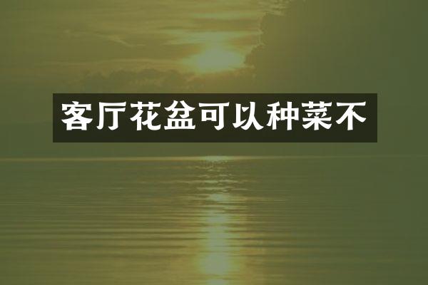 客厅花盆可以种菜不