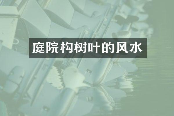 庭院构树叶的风水
