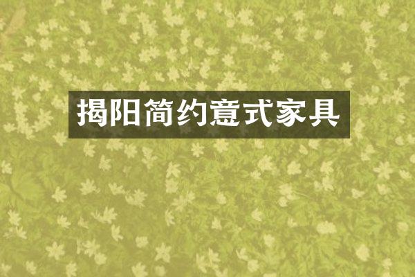揭阳简约意式家具