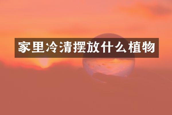 家里冷清摆放什么植物