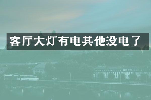 客厅大灯有电其他没电了