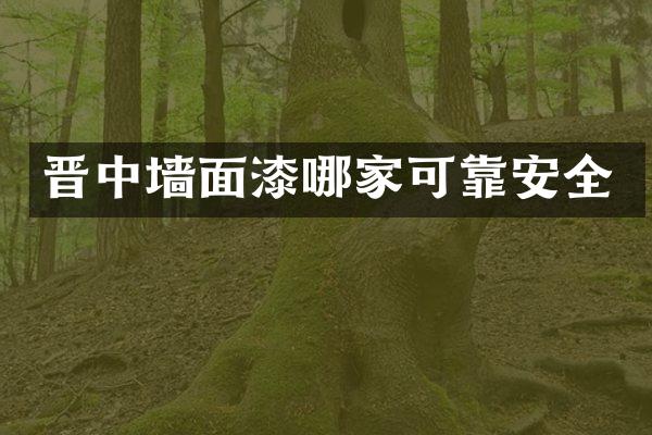 晋中墙面漆哪家可靠安全