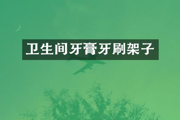 卫生间牙膏牙刷架子