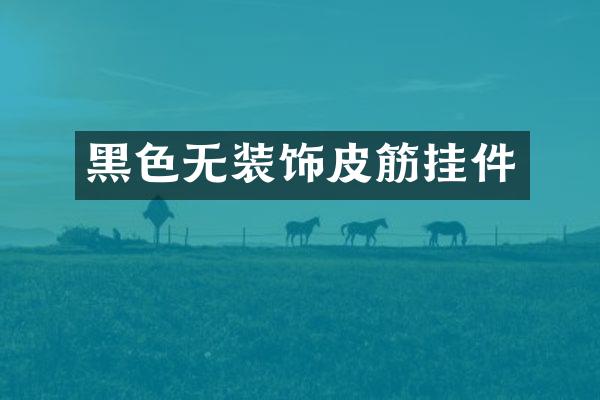 黑色无装饰皮筋挂件