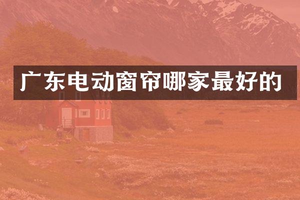 广东电动窗帘哪家最好的