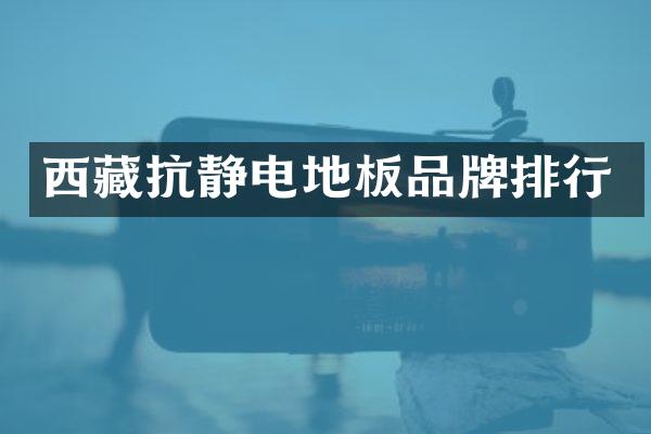 西藏抗静电地板品牌排行