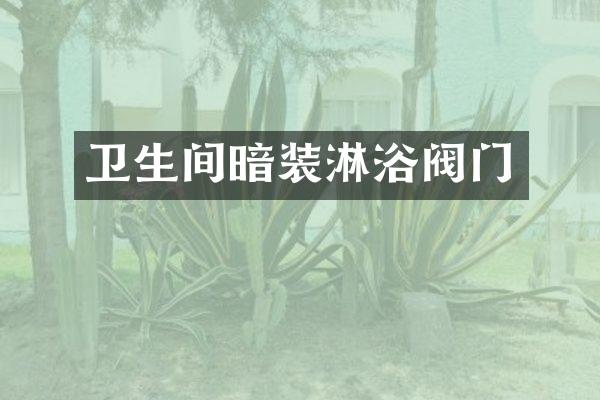 卫生间暗装淋浴阀门