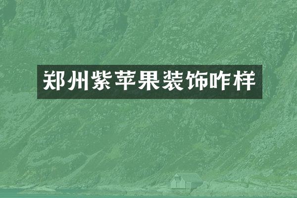 郑州紫苹果装饰咋样