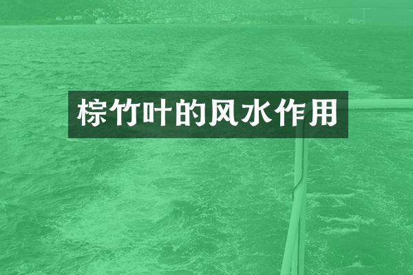 棕竹叶的风水作用