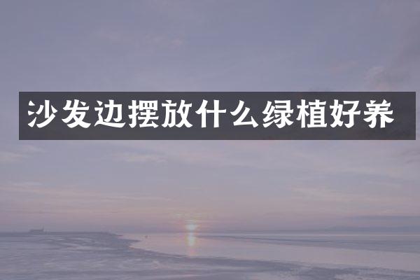沙发边摆放什么绿植好养