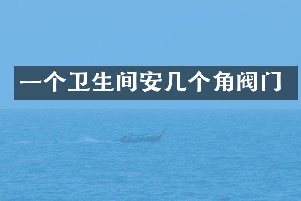 一个卫生间安几个角阀门