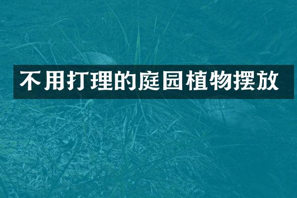 不用打理的庭园植物摆放