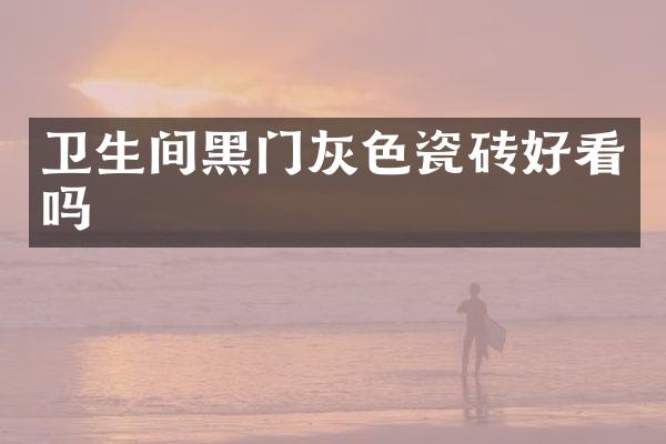 卫生间黑门灰色瓷砖好看吗