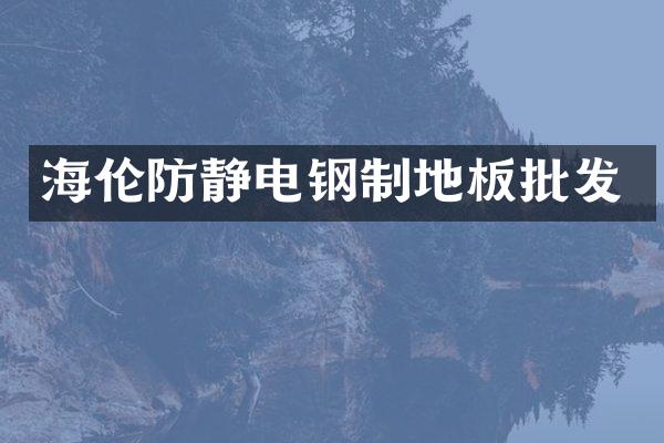 海伦防静电钢制地板批发