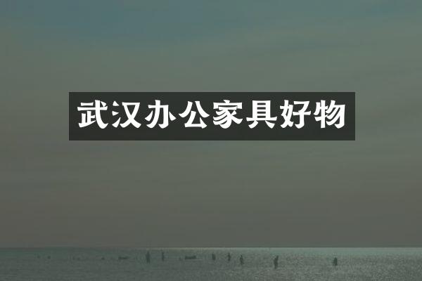 武汉办公家具好物
