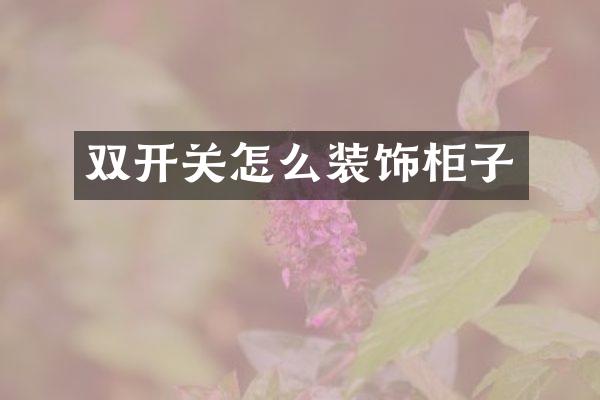 双开关怎么装饰柜子