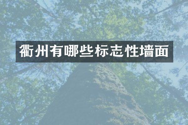衢州有哪些标志性墙面