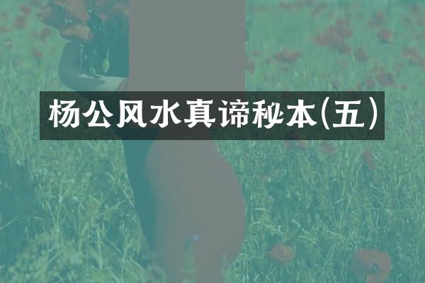 杨公风水真谛秘本(五)