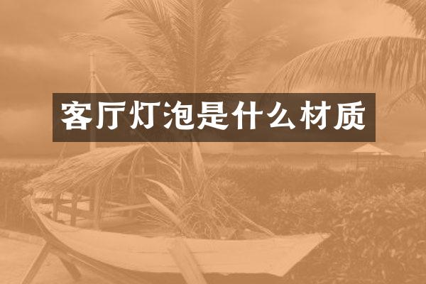 客厅灯泡是什么材质
