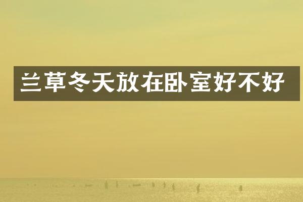 兰草冬天放在卧室好不好