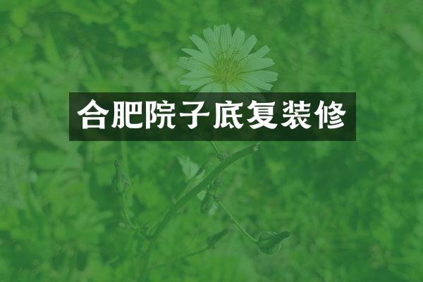 合肥院子底复装修